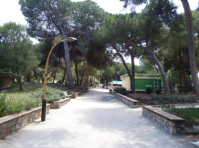 LE SYRACUSE PINEDE